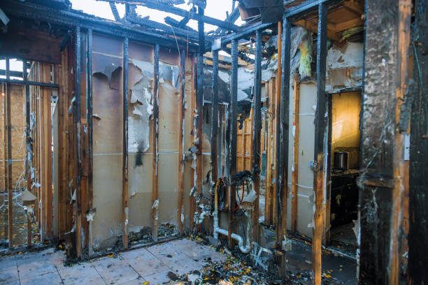 Professional Odor Removal technician working in Mattapoisett Center, MA